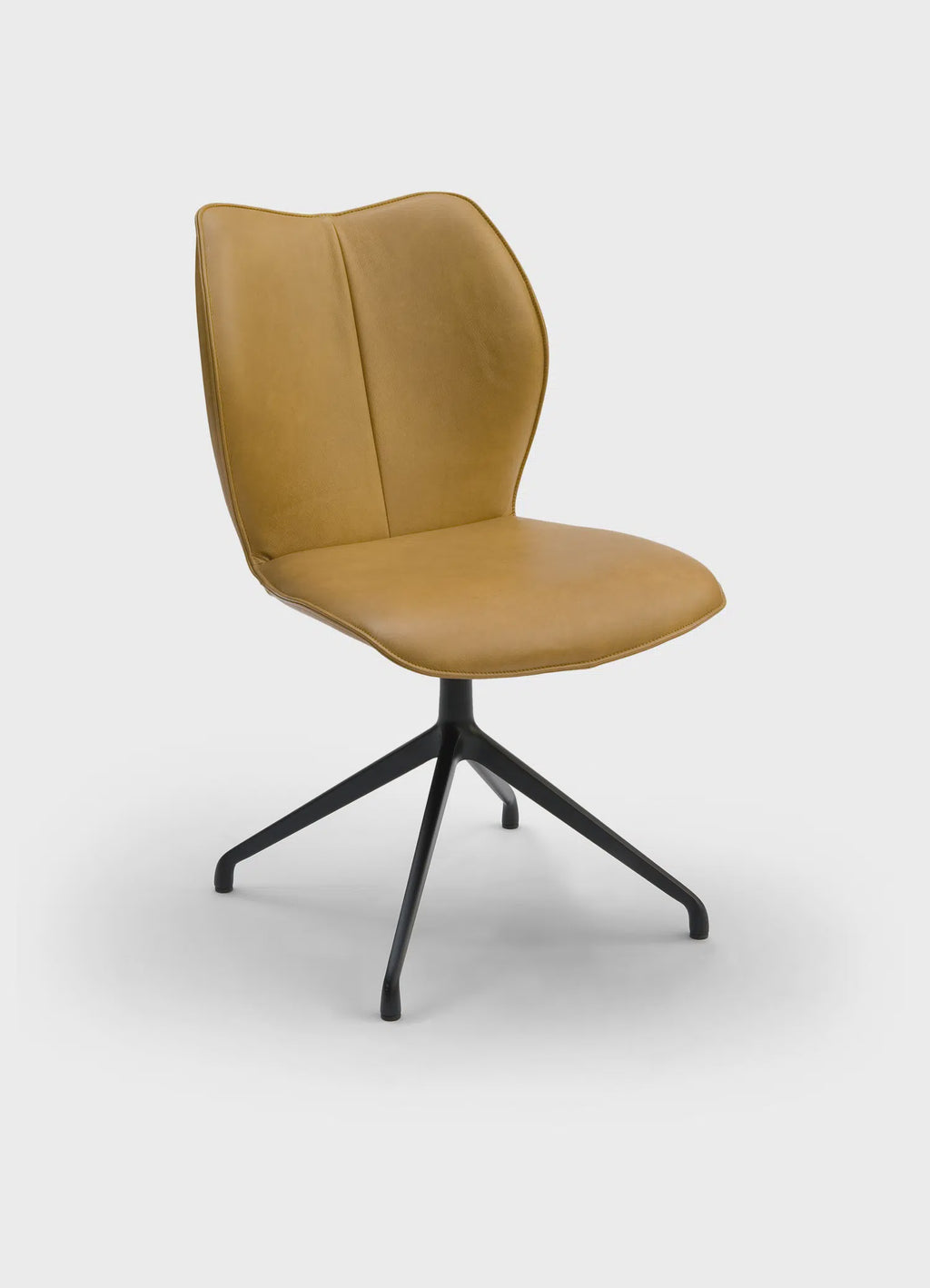 The Tilburg Dining Chair